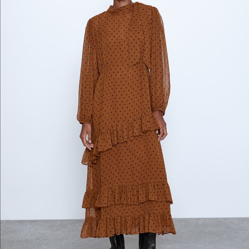 Polka Dot Dress With Ruffles